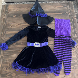Girls Spirit Shreddy Witch Halloween Costume 3-4T Black Purple Dress Hat Tights